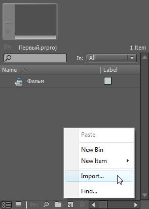Панель Project. Импорт файлов в Adobe Premiere Pro
