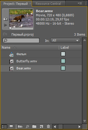 Панель Project. Импорт файлов в Adobe Premiere Pro